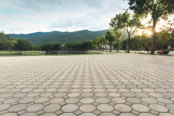 Best Decorative Driveway Pavers  in Roodhouse, IL